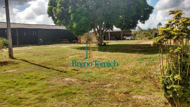 Fazenda à venda, 890000 m² por r$ 1.300.000 - teixeira do progresso - mascote/ba - Foto 16