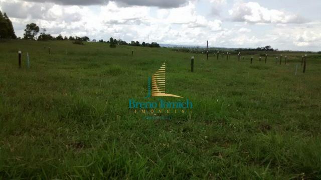 Fazenda à venda, 890000 m² por r$ 1.300.000 - teixeira do progresso - mascote/ba - Foto 12