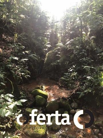 Chácara à venda em Serrinha, Contenda cod:549 - Foto 2