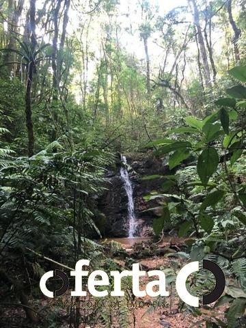 Chácara à venda em Serrinha, Contenda cod:549 - Foto 8