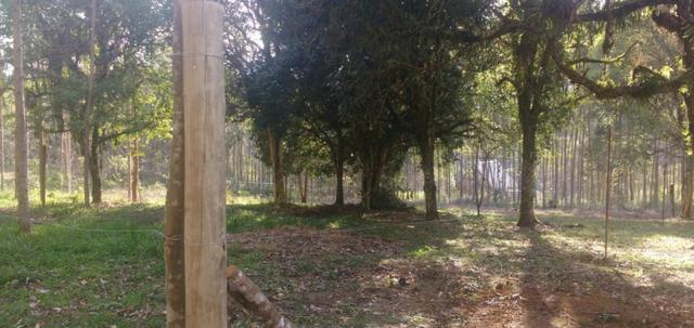Terreno - Foto 13