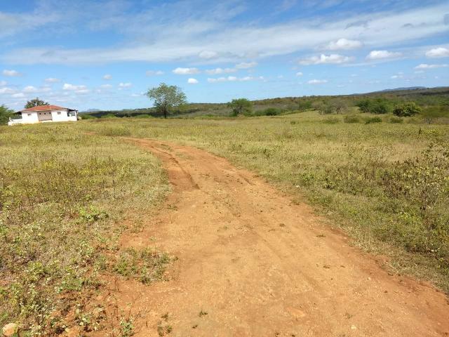 Fazenda em São Paulo do Potengi cortada pelo rio Potengi - Foto 6
