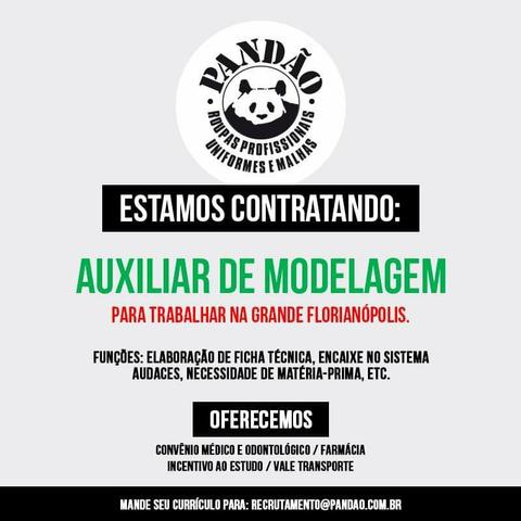 Operadora Sistema CAD Audaces Modelagem - Foto 2