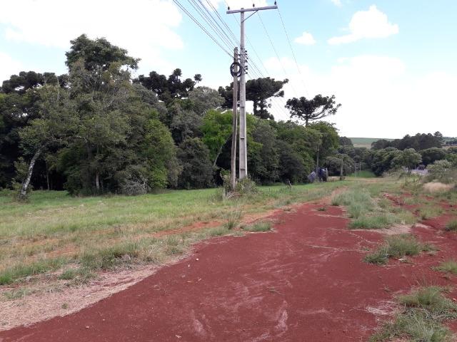 Terreno frente BR 386 - Avalio pegar carro/caminhão - Foto 3