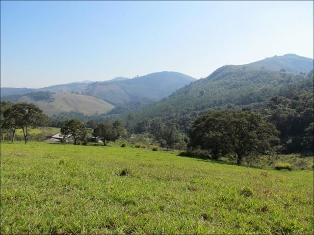 Com energia na porta terreno de 600m² - Foto 5