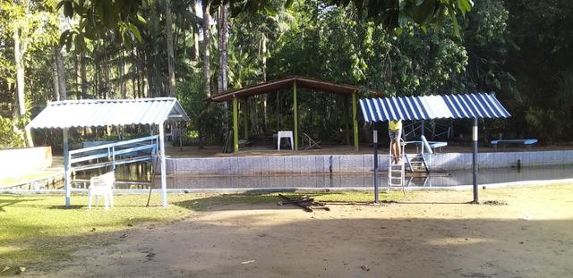 Pra vender logo sitio com igarapé. - Foto 7