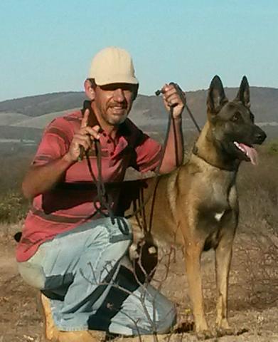Belga malinois - Foto 5