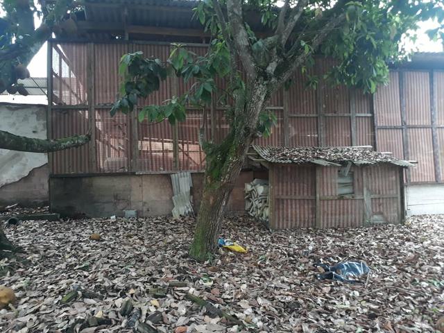 Excelente área com galpão em Guapimirim - Citrolândia oportunidade!!! - Foto 12
