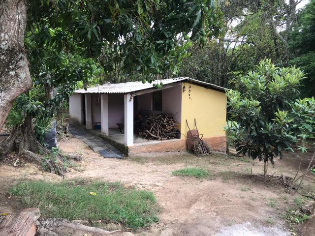 Excelente fazenda 86 ha - Foto 12