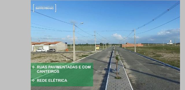 Loteamento Conviver Barreirinhas - Foto 9