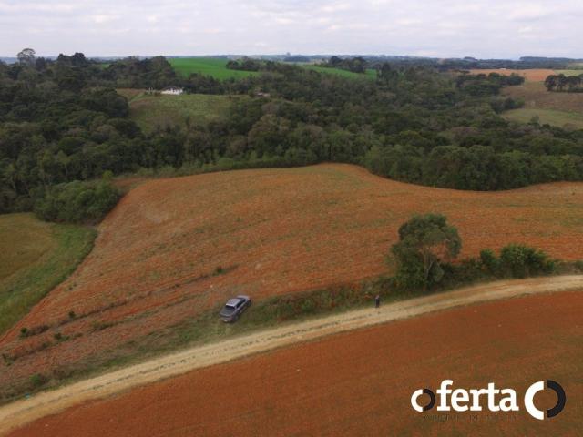 Chácara à venda em Serrinha, Contenda cod:549 - Foto 17