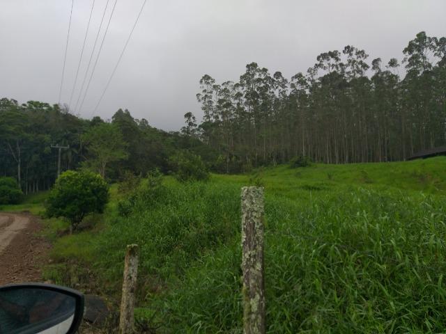 Sitio de 10 hectares no bairro baú em ilhota com plantação de eucalipto - Foto 6