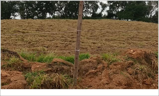 Terreno 100% planos - Foto 4