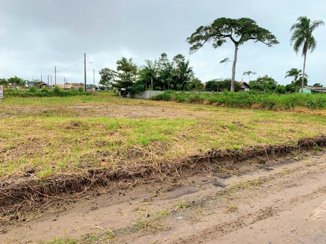 Terreno Escriturado São Francisco Do Sul Esquina Pronto Para Construir - Foto 2