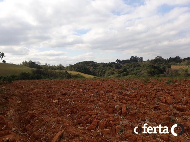 Chácara à venda em Serrinha, Contenda cod:549 - Foto 12