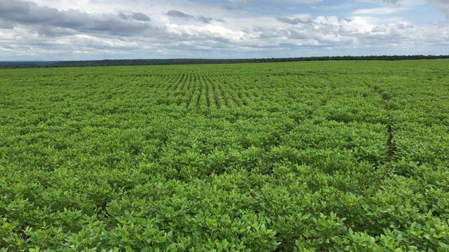 Fazenda em Balsas - Foto 2
