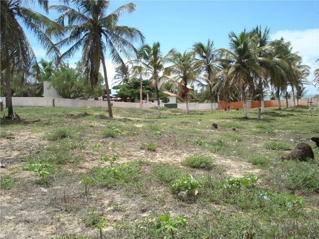Terreno na Praia de Caraúbas Distrito de Maxaranguape - 630m² - Foto 4