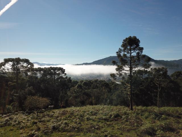 Lindo terreno em Urubici