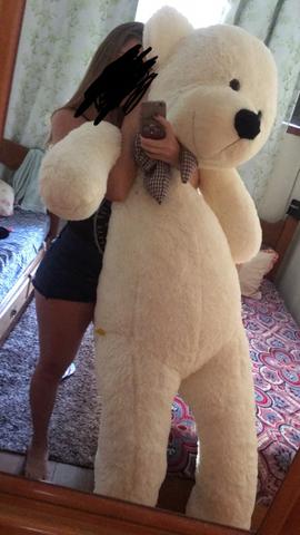 Urso gigante