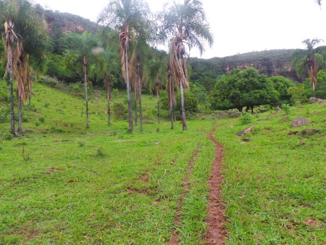 Fazenda 15 Alqueires Municipio Cocalzinho Aceita Imovel até 200 mil - Foto 20