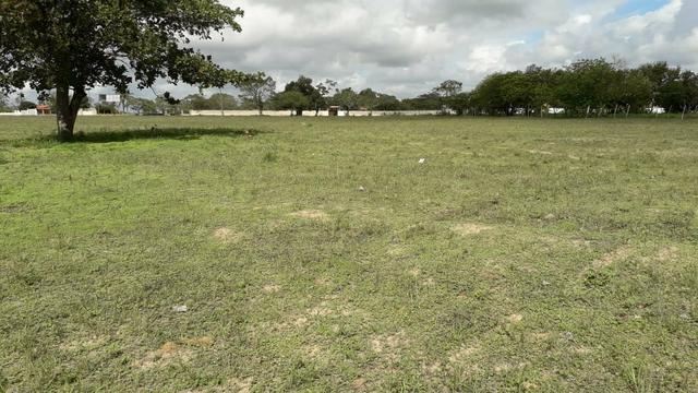 Terreno de Chácaras em Serrinha. - Foto 2