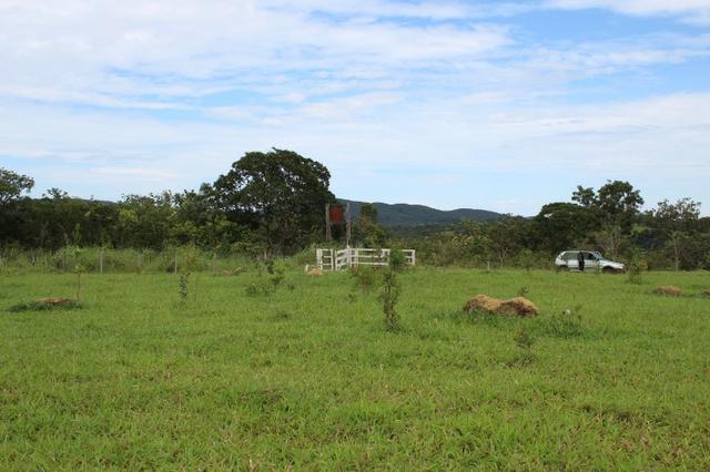 Fazenda 22 Alqueires Municpio Cocalzinho Aceita 50% em Trama em Goiania - Foto 14