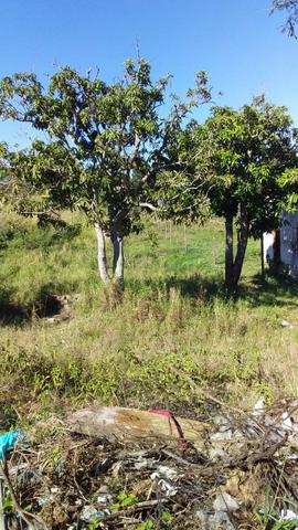 Lu Terreno no Bairro Monte Alegre em Cabo Frio - Foto 6