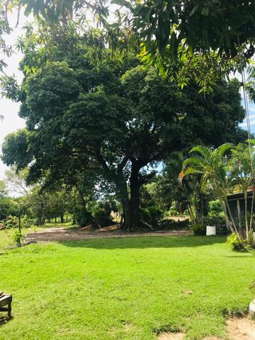 Chácara em Santo Antônio do leverger 17 hectares - Foto 10