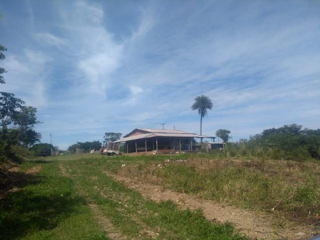 Chácara no Distrito do Aguaçu - Foto 4