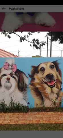 Hotel e creche - Foto 5