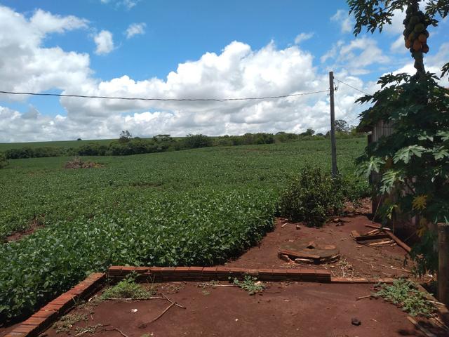 Chácara - Foto 3