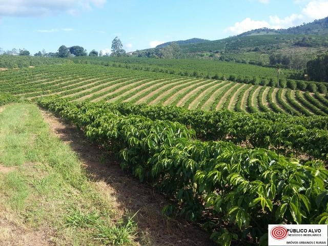 Fazenda Café Sul de Minas