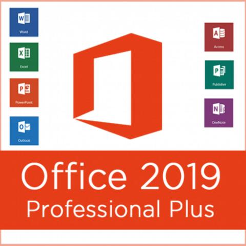 DVD Microsoft Office Professional Plus Completo 2019