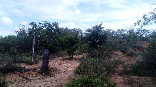 Terreno - Zona Rural de Montes Claros - Foto 2