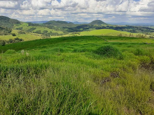 Fazenda Agricultura e Pecuária-Completa Arrendamento - Foto 3