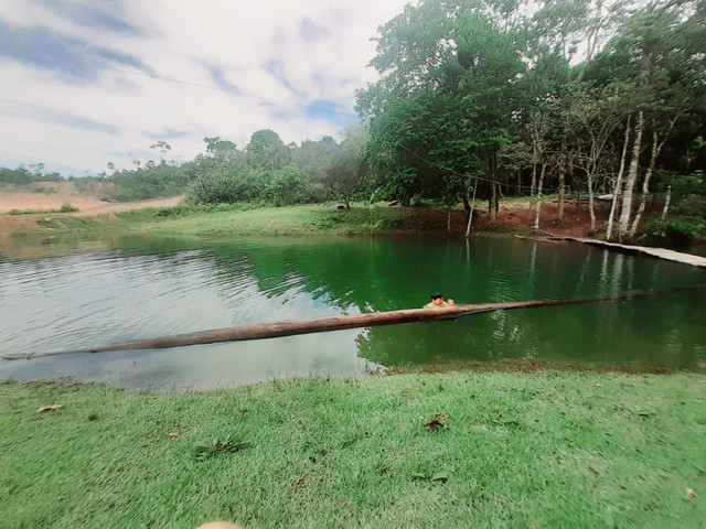Terreno com uma casa, igarapé, campo, reservas