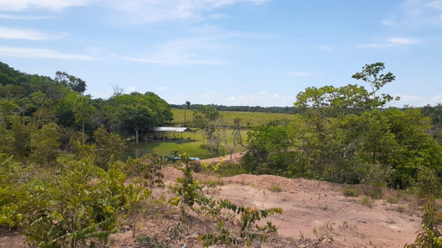 Terreno com uma casa, igarapé, campo, reservas - Foto 3