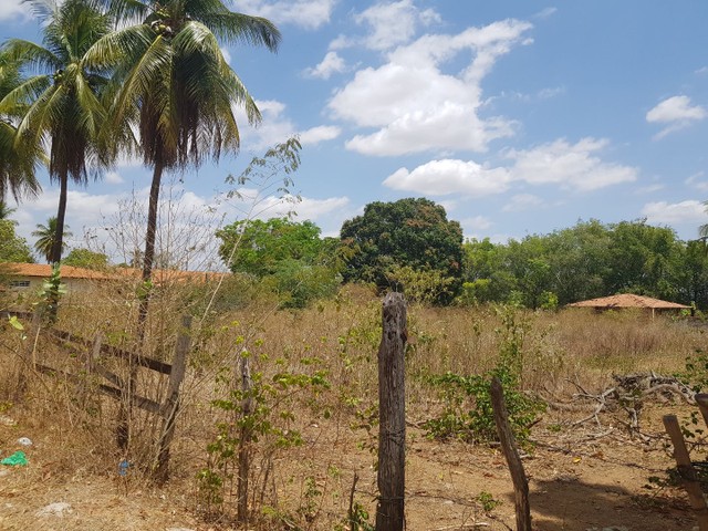 Vendo propriedade em Barbalha! - Foto 4