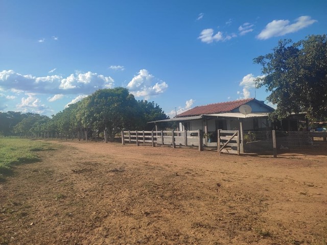 313 alqueires em caiapónia  - Foto 5
