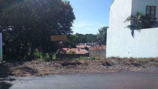 Lote - Jardim Flamboyant - Foto 3