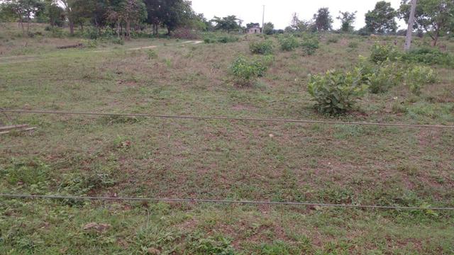 Chácara próximo ao pedra 90 - Foto 12