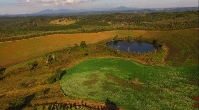 Área para soja próxima de Curitiba - Foto 6