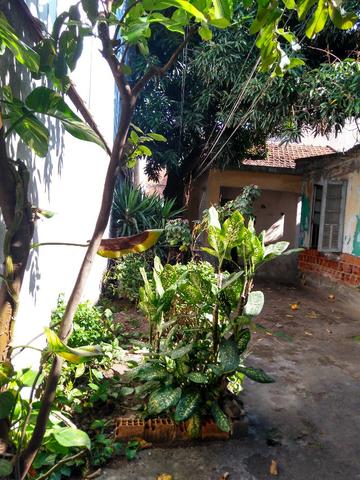 Terreno, com duas casas, 360m², na Avenida Roma em - Bonsucesso