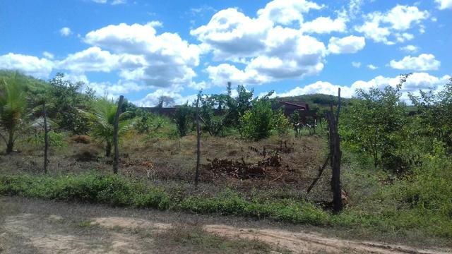Terreno em Cocal - Foto 3