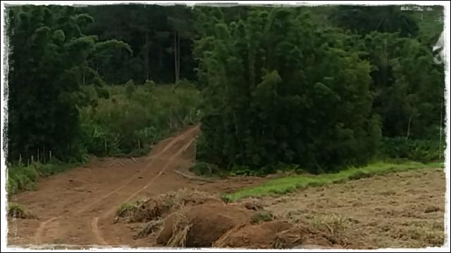 Venha rapido terreno de 1000m² próximo de Cotia