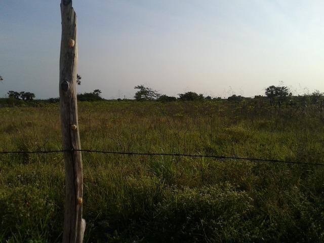 Granja com 11 há em mandú, lagoa de pedras - Foto 18