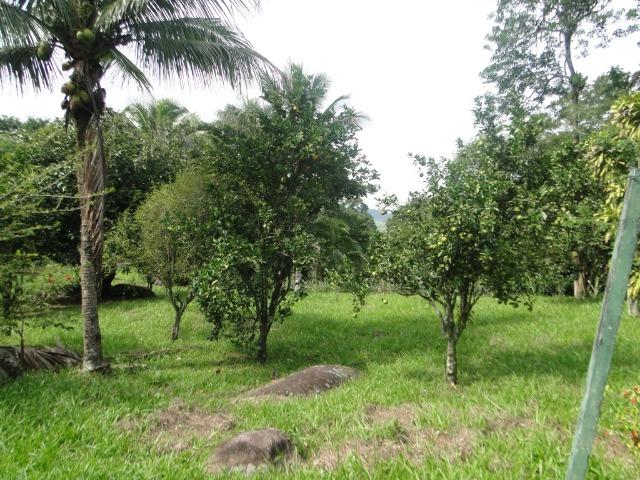 Guapimirim Sítio 97.000m², sede com 4 Quartos, piscina e campo - Foto 15