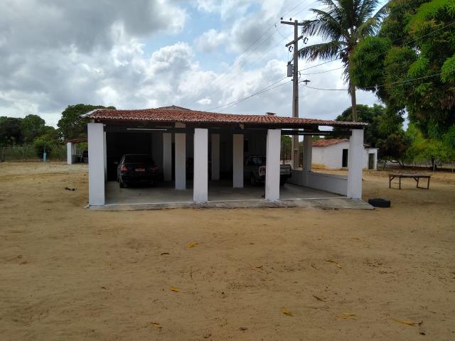 Granja com 4 há em bom jesus com 3 casas e outra em construção, piscina, galpão - Foto 12