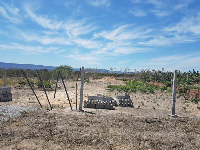 Terreno