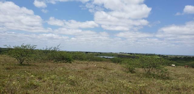 Fazenda com 80 hectares entre brejinho e santo Antônio do salto da onça - Foto 7
